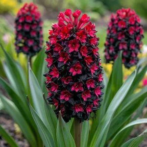 Гиацинт Джем Стоун купить по цене от 2099р. в интернет-магазине «Посадика» с доставкой почтой в в Мензелинске и по всей России – [изображение №1].