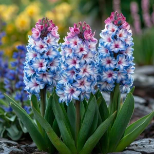 Гиацинт Пинк Мари купить по цене от 2099р. в интернет-магазине «Посадика» с доставкой почтой в в Мензелинске и по всей России – [изображение №1].