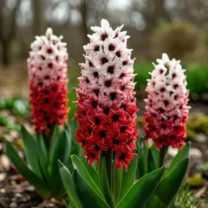 Гиацинт Скай Гарден купить по цене от 2099р. в интернет-магазине «Посадика» с доставкой почтой в в Мензелинске и по всей России – [изображение №1].